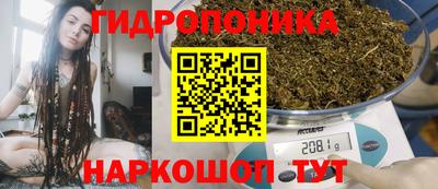 spice Пушкино