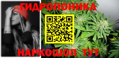 spice Пушкино