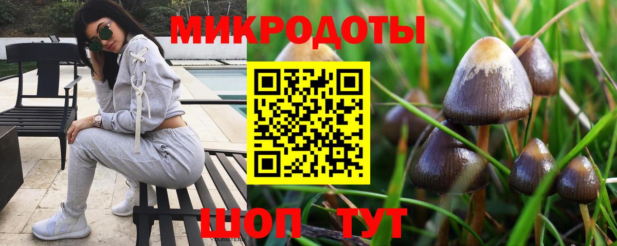 Псилоцибиновые грибы Psilocybine cubensis  Вход с VPN  купить наркоту  Сертолово 